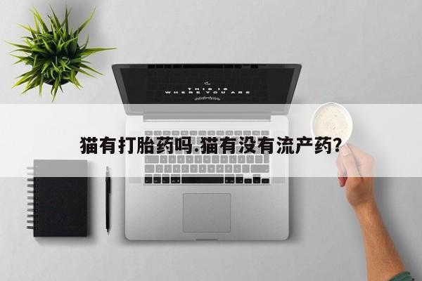 哪里有流产药联系方式猫有打胎药吗.猫有没有流产药？