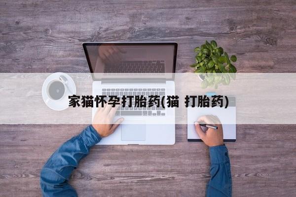 哪里有流产药联系方式家猫怀孕打胎药(猫 打胎药)